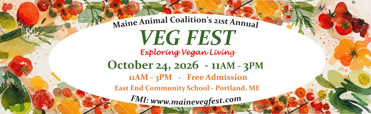 Veg Fest 2026