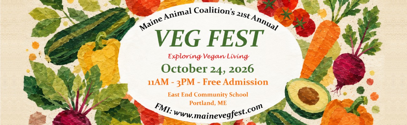 Veg Fest 2026